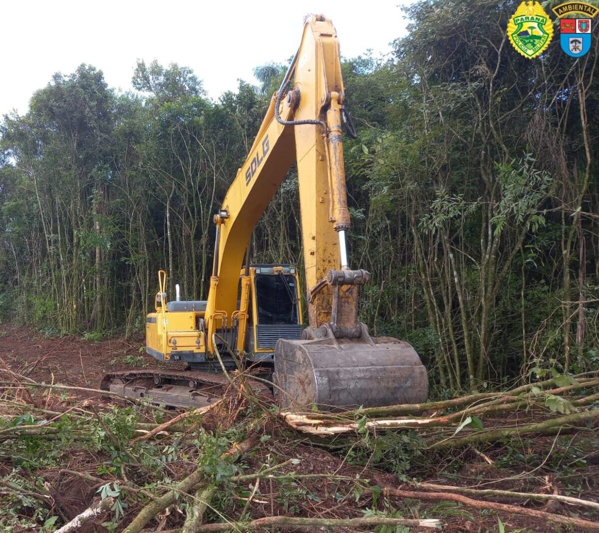 Homem é preso em flagrante destruindo vegetação nativa em Prudentópolis