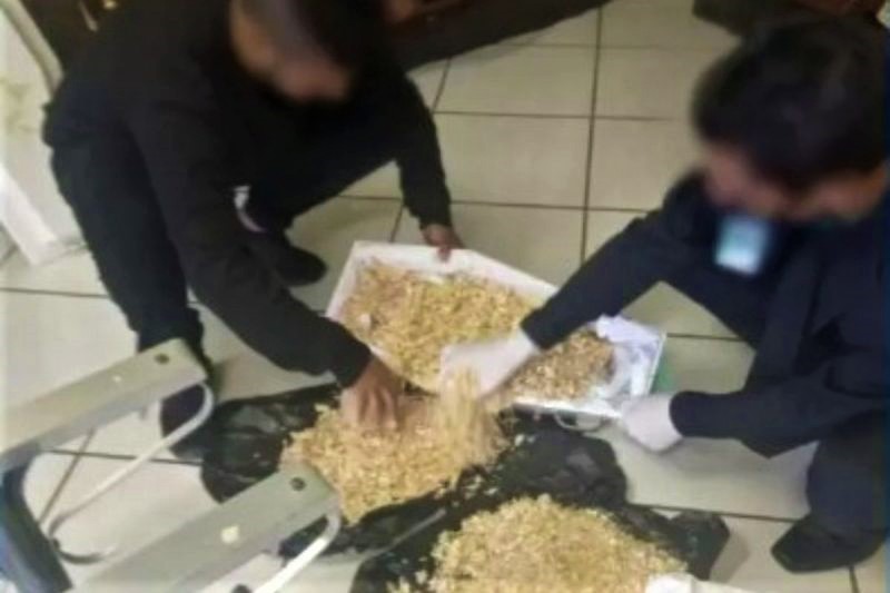 PR: Família encontra serragem dentro de caixão em vez de corpo de bebê