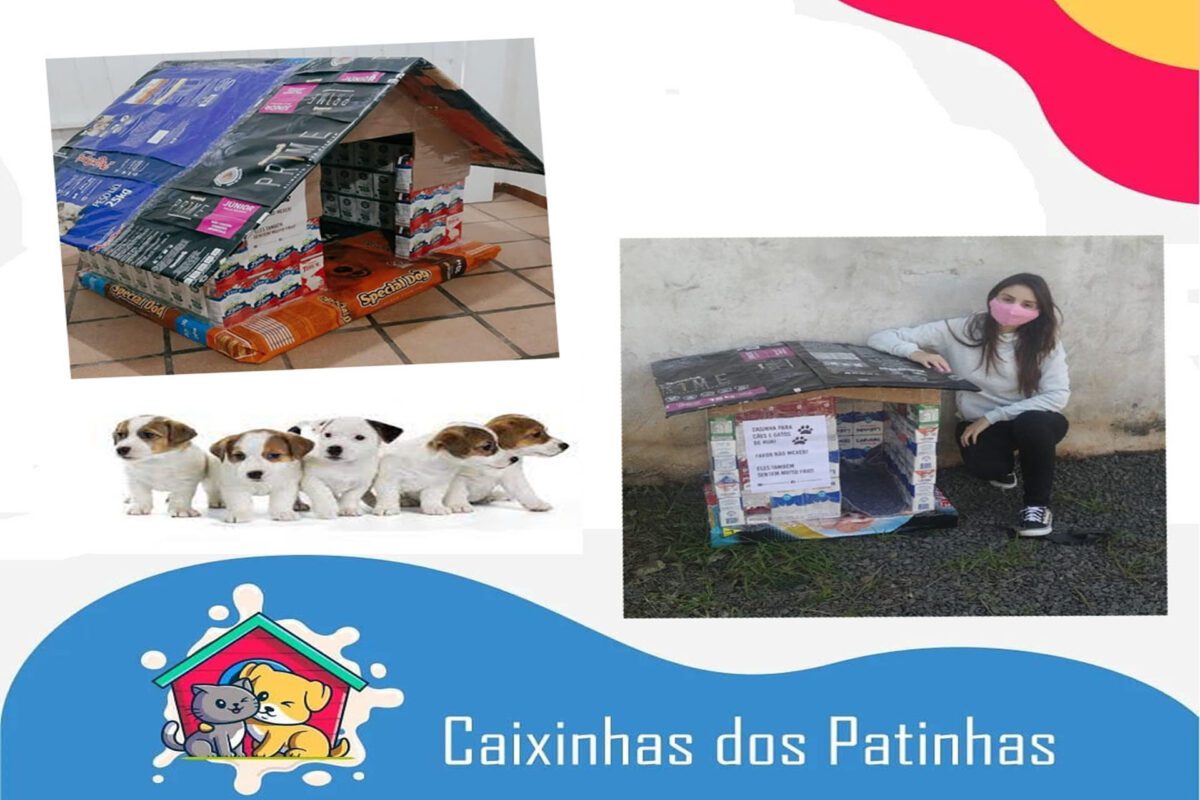 Conheça o Caixinhas dos Patinhas: minha casa pet, minha vida