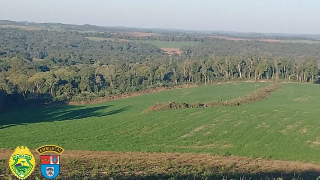 Proprietário rural leva multa de R$ 152 mil por crime ambiental em São Mateus do Sul