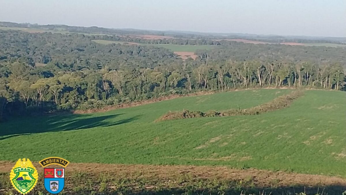 Proprietário rural leva multa de R$ 152 mil por crime ambiental em São Mateus do Sul