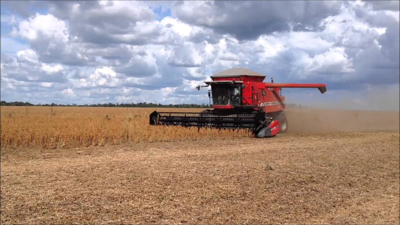 Falta de chuvas e calor antecipam colheita de soja no PR