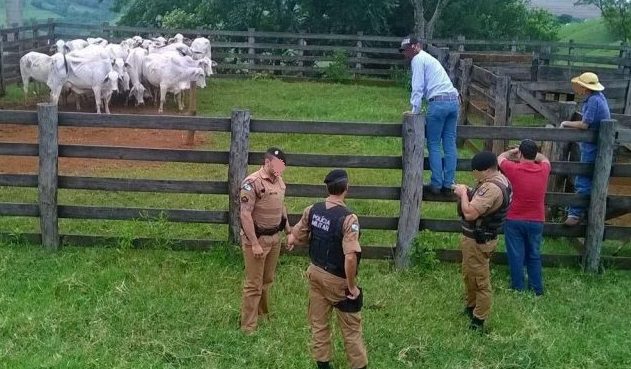 Após disparos de arma de fogo, polícia é acionada em briga de vizinhos no interior de São João do Triunfo