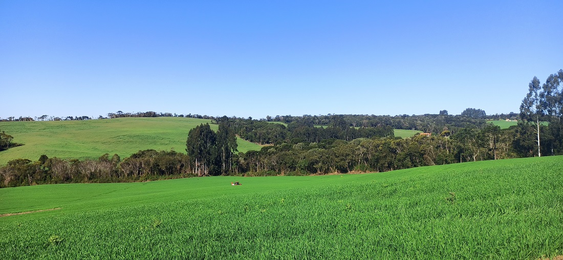 Mafra cresce e fecha o ano de 2021 como a 4ª economia no agronegócio catarinense