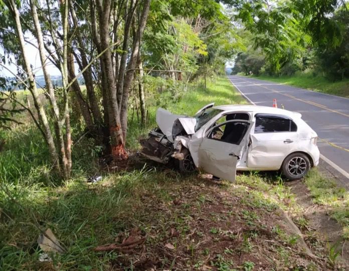 Jovem de 22 anos morre após carro colidir em árvore