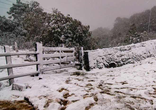 Paraná, Santa Catarina e Rio Grande do Sul têm possibilidade de neve; veja quando