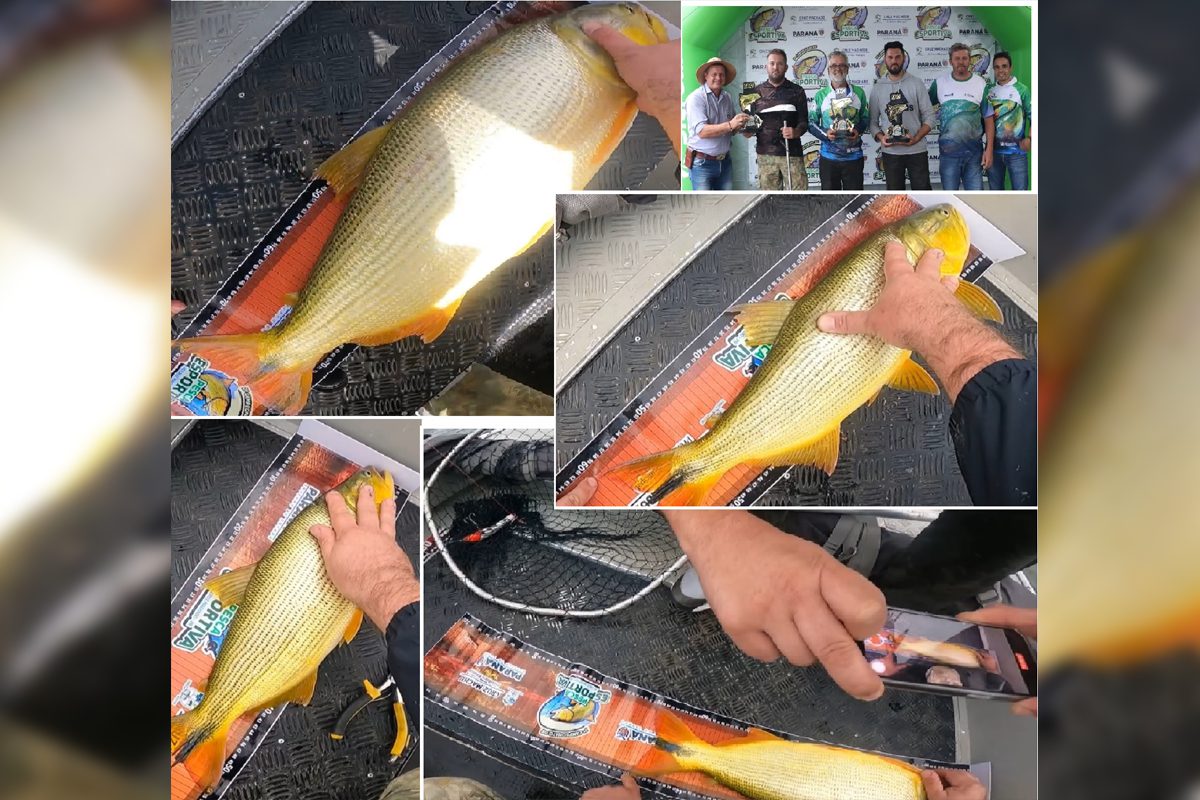 Equipe são-mateuense Pesca Tudo conquista dois 1ºs lugares no campeonato de pesca em Cruz Machado