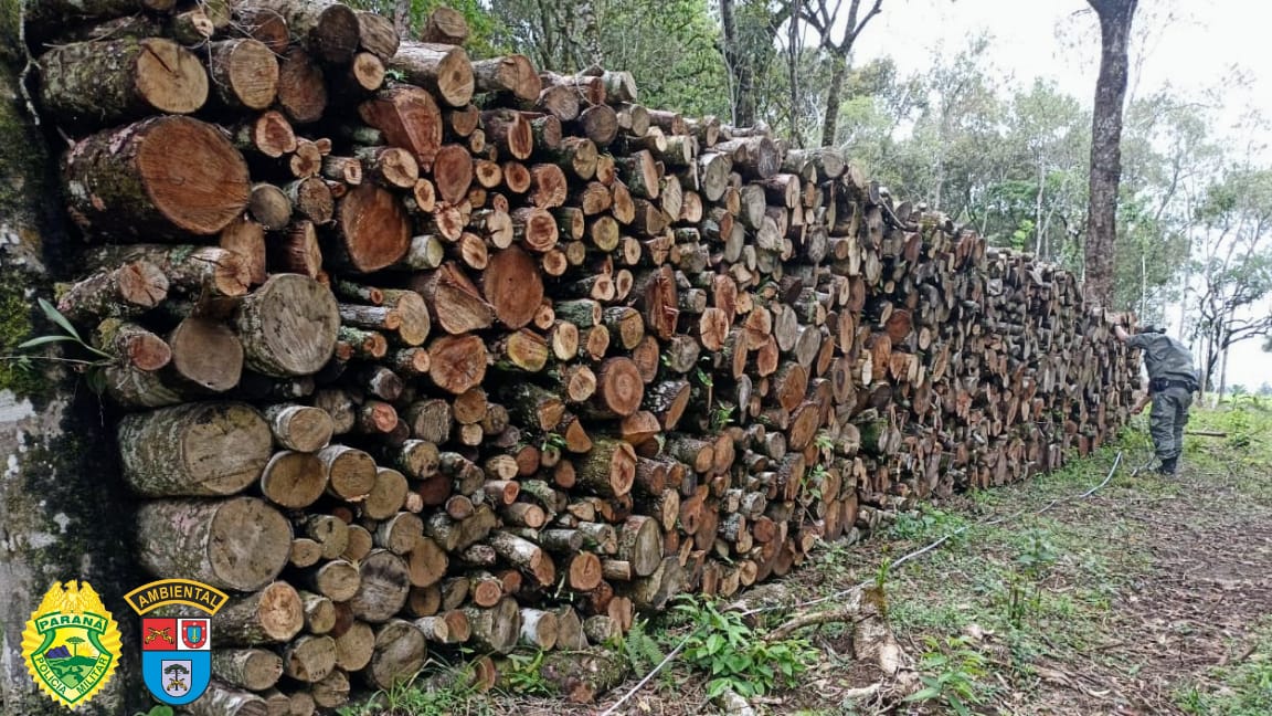 Operação da Polícia Ambiental em São Mateus do Sul resulta em multa de R$35 mil para proprietário por danos ambientais