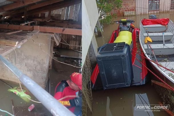 Bombeiros resgatam 12 gatos de uma casa atingida pela cheia do Iguaçu