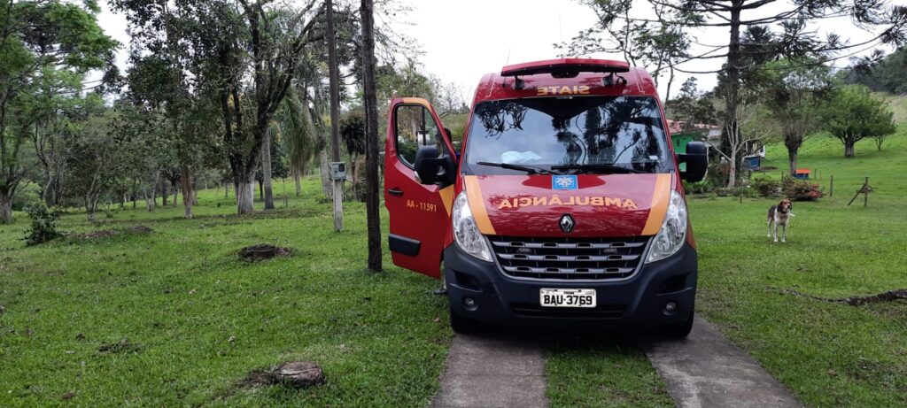 Homem morre ao ser atingido por galho de árvore enquanto cortava lenha em Antônio Olinto