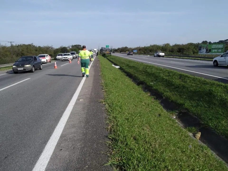 Ciclista tem braço amputado e morre logo após ser atropelada na BR-277; motorista fugiu do local