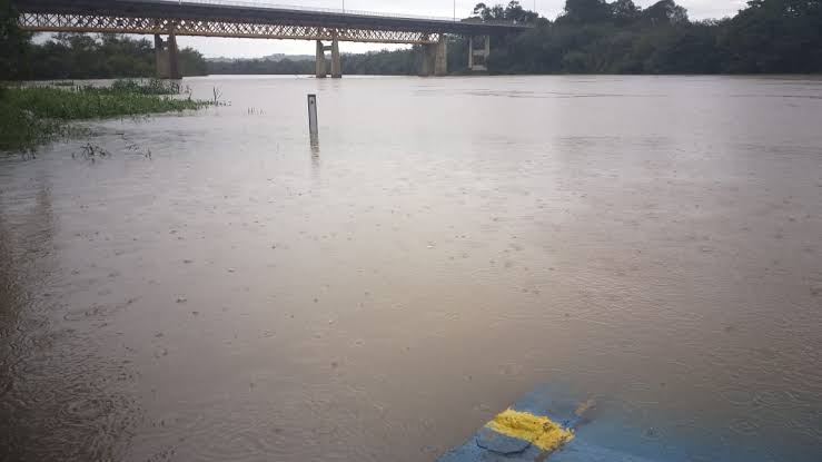 No Dia do Rio, Paraná destaca soltura de 2,6 milhões de peixes e proteção de nascentes