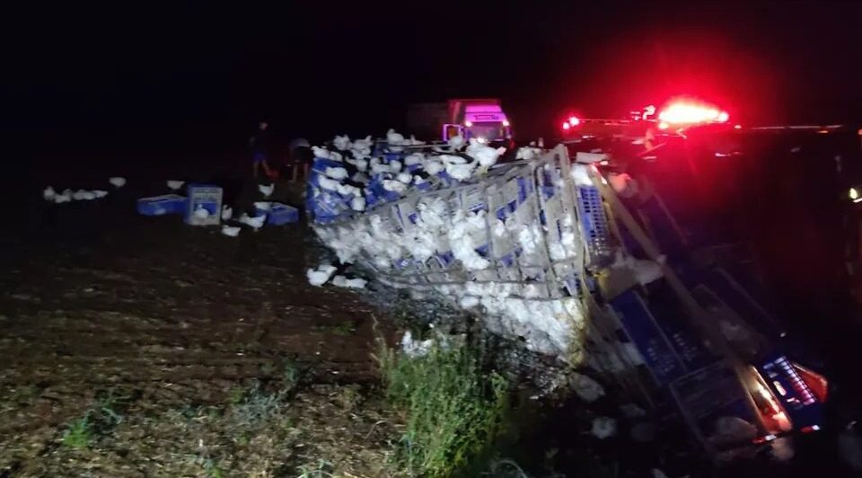 Caminhão carregado com galinhas tomba em rodovia do Paraná