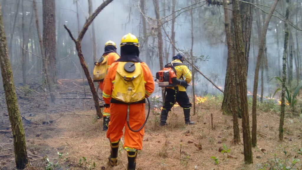 Planalto Norte SC têm registros de incêndios florestais e Bombeiros alertam para a prevenção