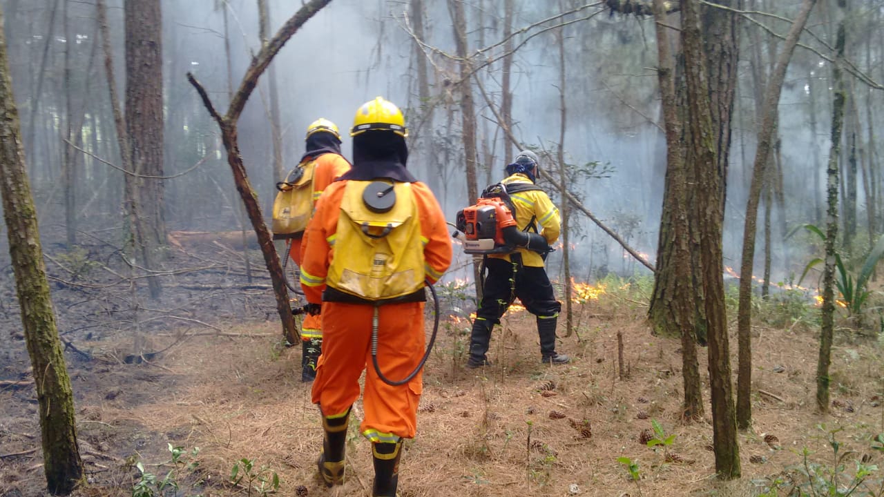 Planalto Norte SC têm registros de incêndios florestais e Bombeiros alertam para a prevenção