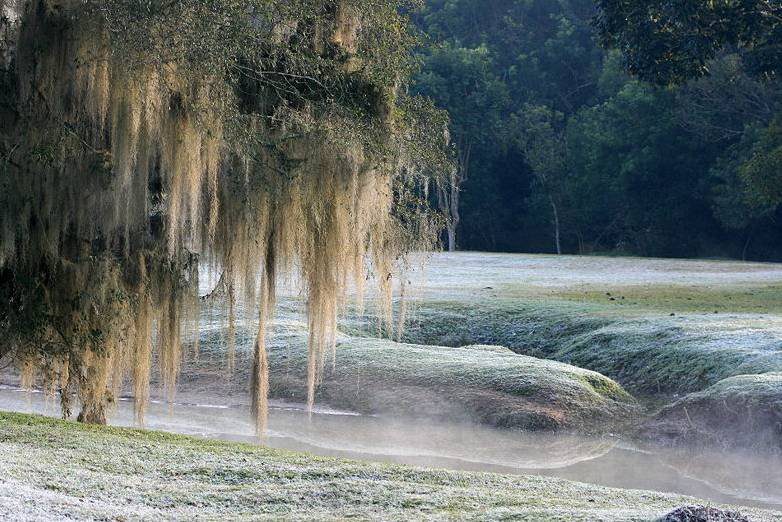 Temperatura negativas estão previstas para a próxima semana em São Mateus do Sul