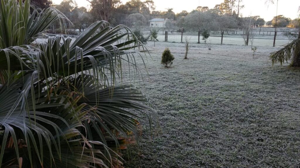 São Mateus do Sul registra temperatura negativa na madrugada