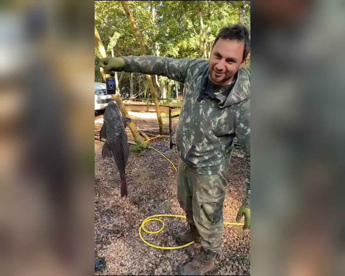 Pescador profissional fisga cascudo com 75 centímetros e mais de 5 kg