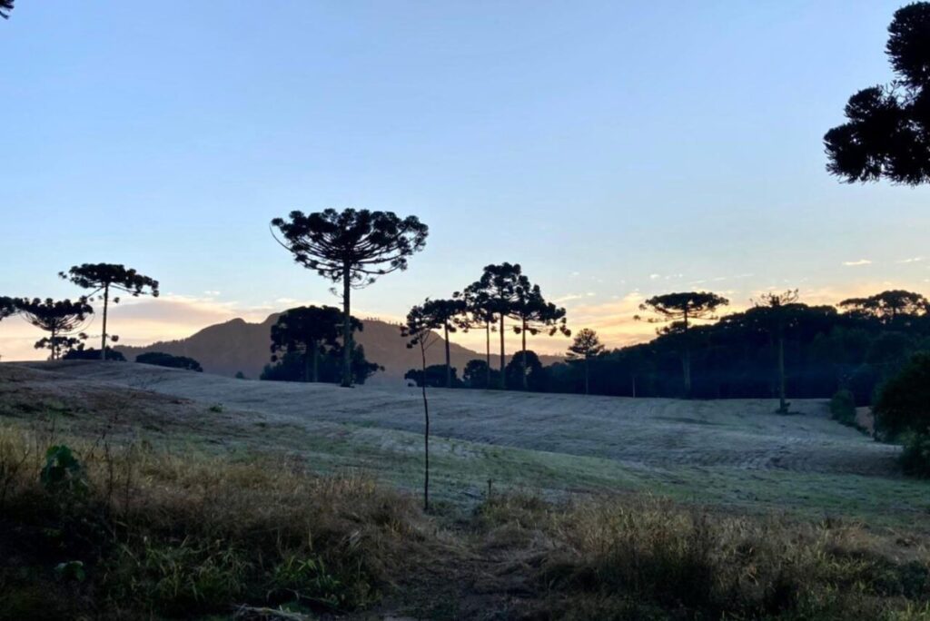 Segunda começa nublada e amena: confira a previsão do tempo para essa semana