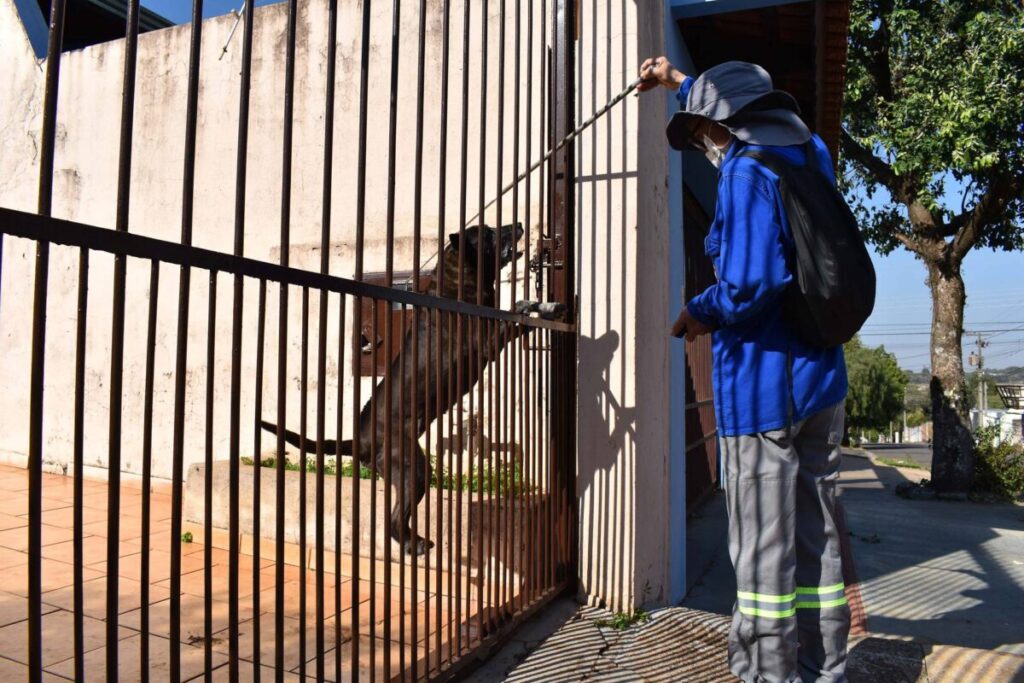 Copel alerta sobre cuidados com cães para evitar acidentes