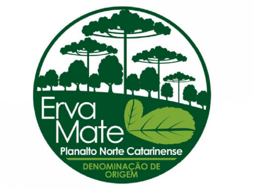 Erva-mate do Planalto Norte catarinense conquista certificação de Indicação Geográfica