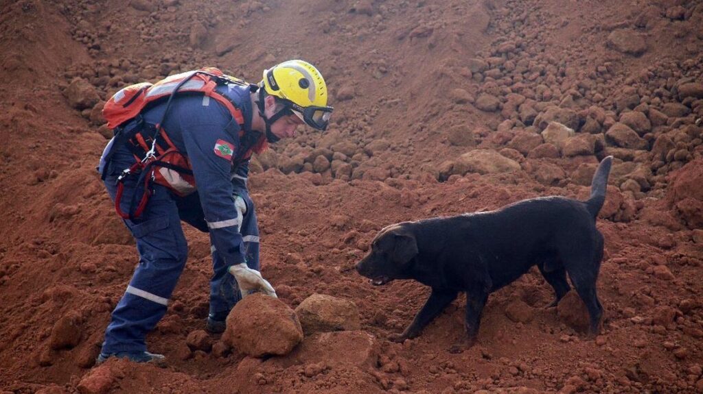 Corpo de Bombeiros de Santa Catarina emite boletins sobre a gravidade do deslizamento de terras no PR