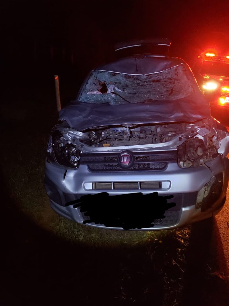 Animal solto na pista causa acidente na PR-151 em São Mateus do Sul
