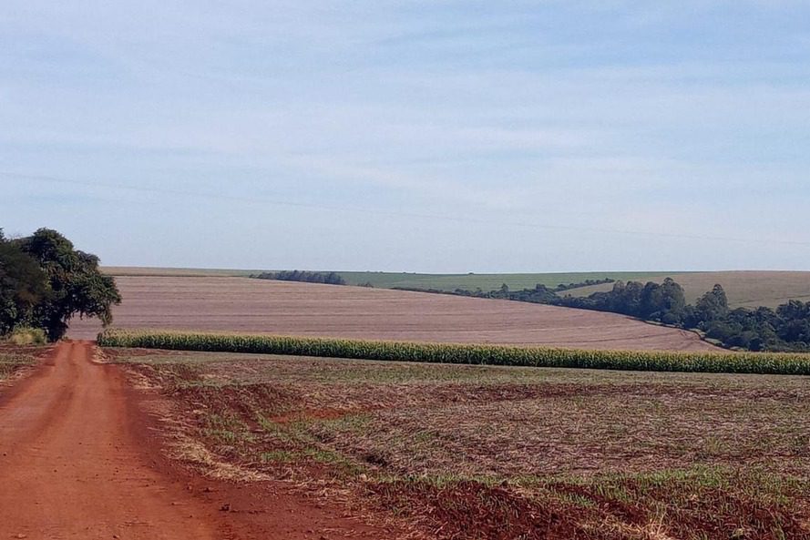 Vazio sanitário da soja começa em 10 de junho, alerta Agricultura