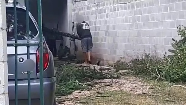 Idoso tenta tirar carro do lado de árvore e morre atingido por galho durante vendaval no PR