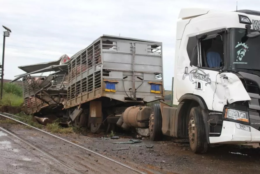 Trem atinge caminhão carregado com porcos no PR; animais morreram