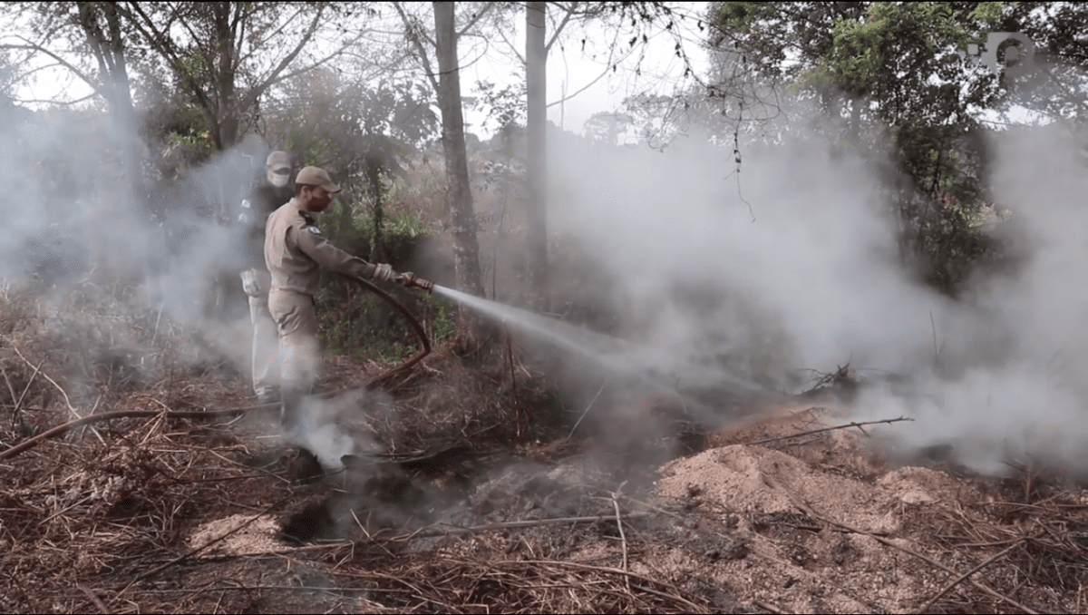 MISTÉRIO: Serraria desativada em 1943 pode ser origem de fogo subterrâneo em São Mateus do Sul