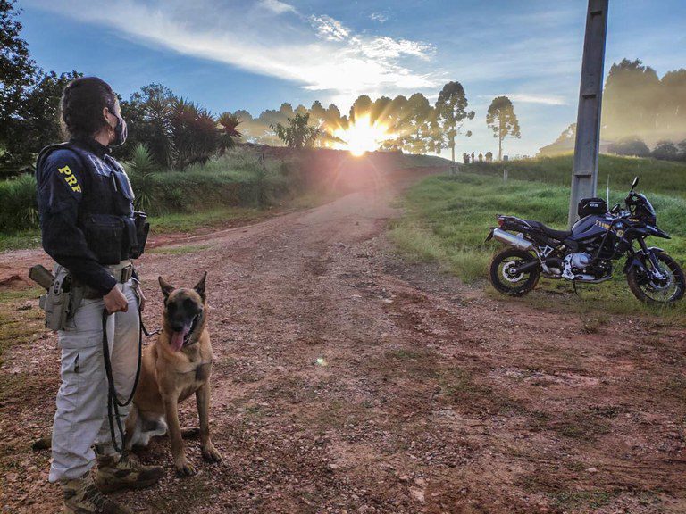 PRF e Polícia Civil prendem seis pessoas em operação contra roubo de carga