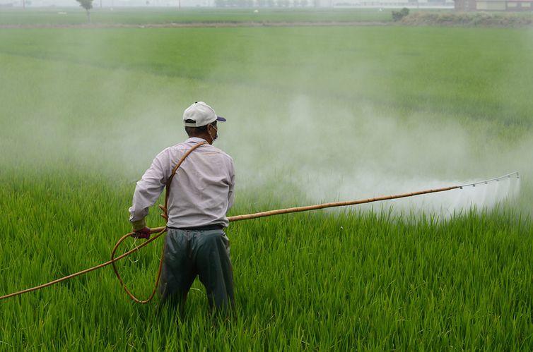 Saúde lança plano estadual de atenção à pessoas expostas a Agrotóxicos