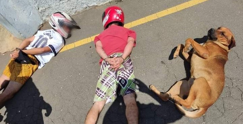 Foto de cão deitado ao lado de suspeitos durante abordagem policial viraliza nas redes sociais