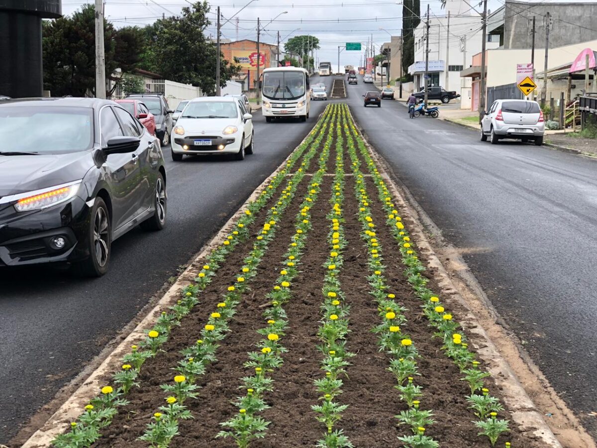 Recape na PR 151: Bacil parabeniza Governo Ratinho Jr por recuperação