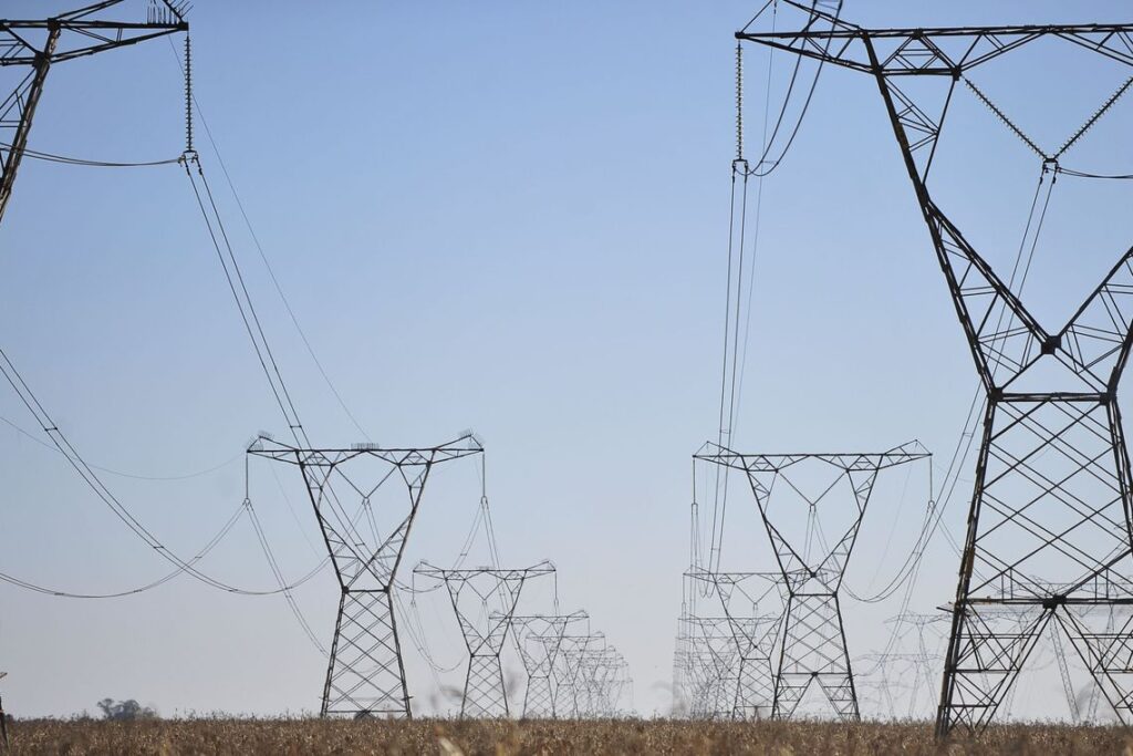 Bacil sugere liberação de plantio de erva-mate embaixo de linhas de transmissão de luz