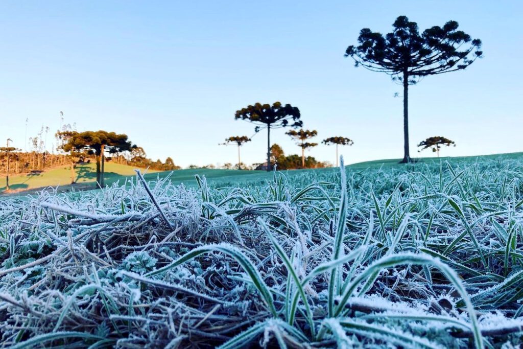 Meteorologia prevê geada para São Mateus do Sul; condições são favoráveis