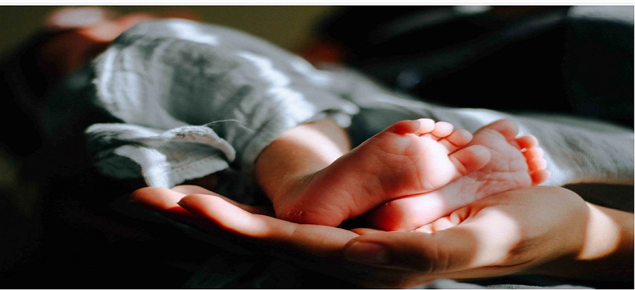 Recém-nascido morre após ser atacado por pitbull enquanto dormia dentro de casa em SP