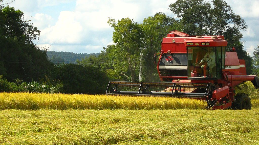 Paraná terá R$ 11,9 bilhões para financiamento da safra