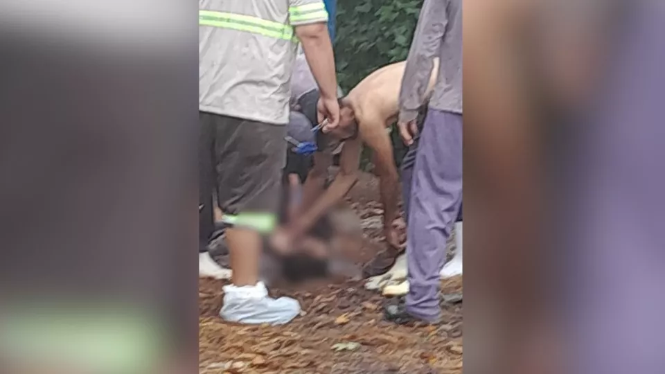 Trabalhador de 57 anos morre eletrocutado em granja no Paraná