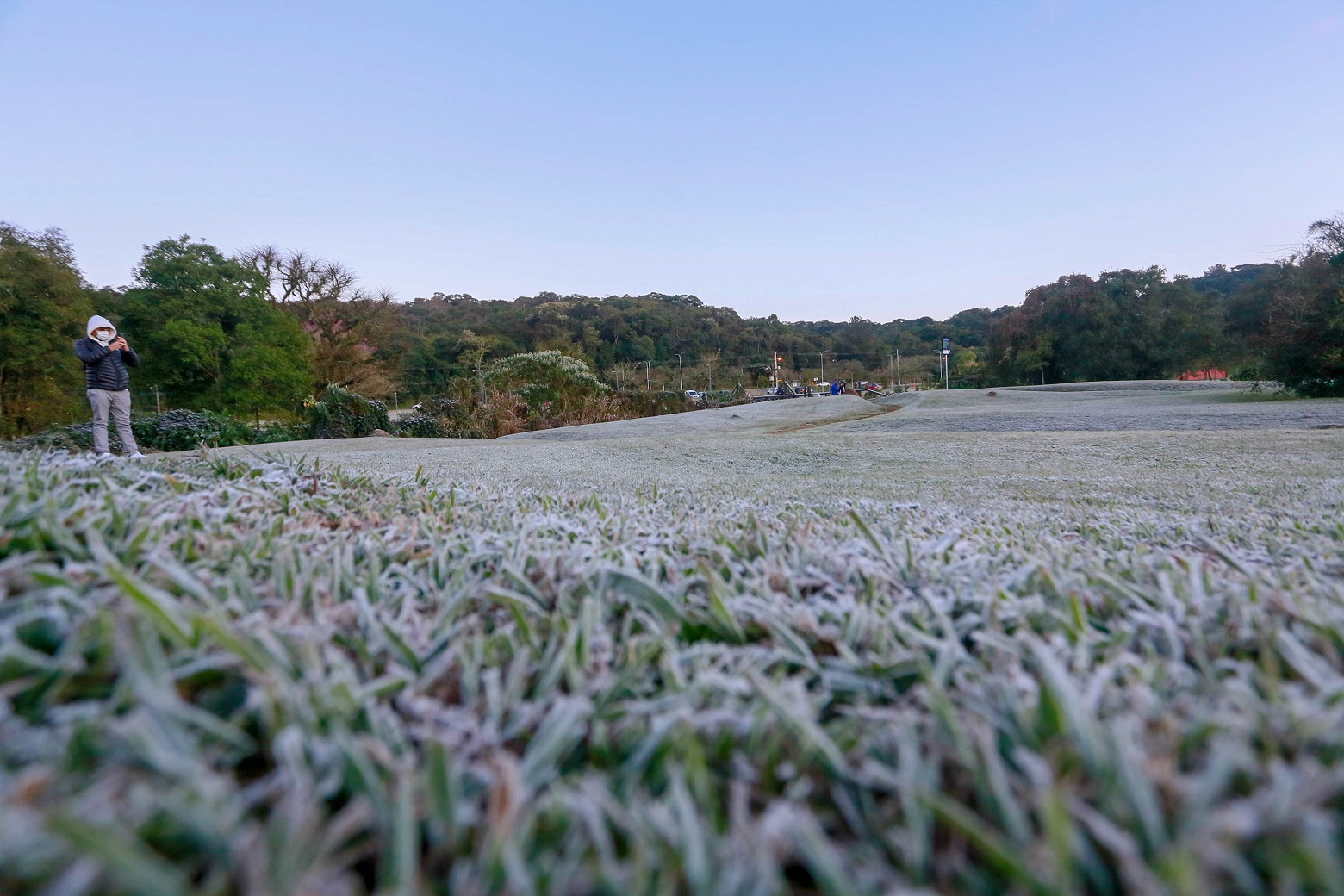 Com temperatura de até -3,9°C, Simepar registra madrugada mais fria do ano em 44 cidades 