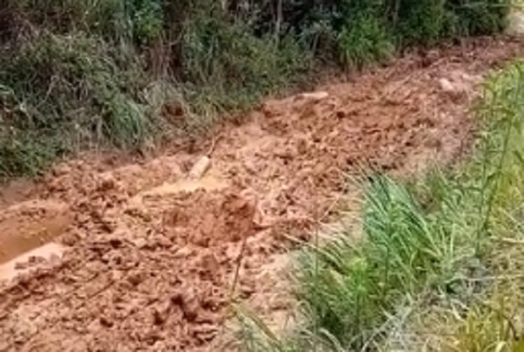 VÍDEO: fumicultor de São João do Triunfo pede por melhorias em estrada intransitável