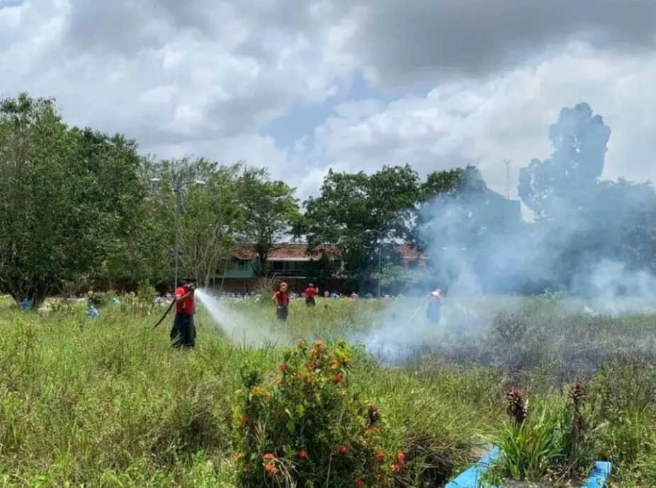 Família solta fogos de artifício em enterro e gera incêndio em cemitério