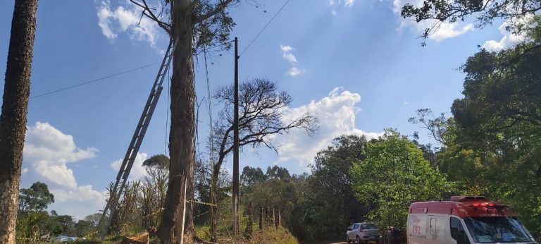 Homem morre eletrocutado enquanto realizava podas de árvores em Ponta Grossa