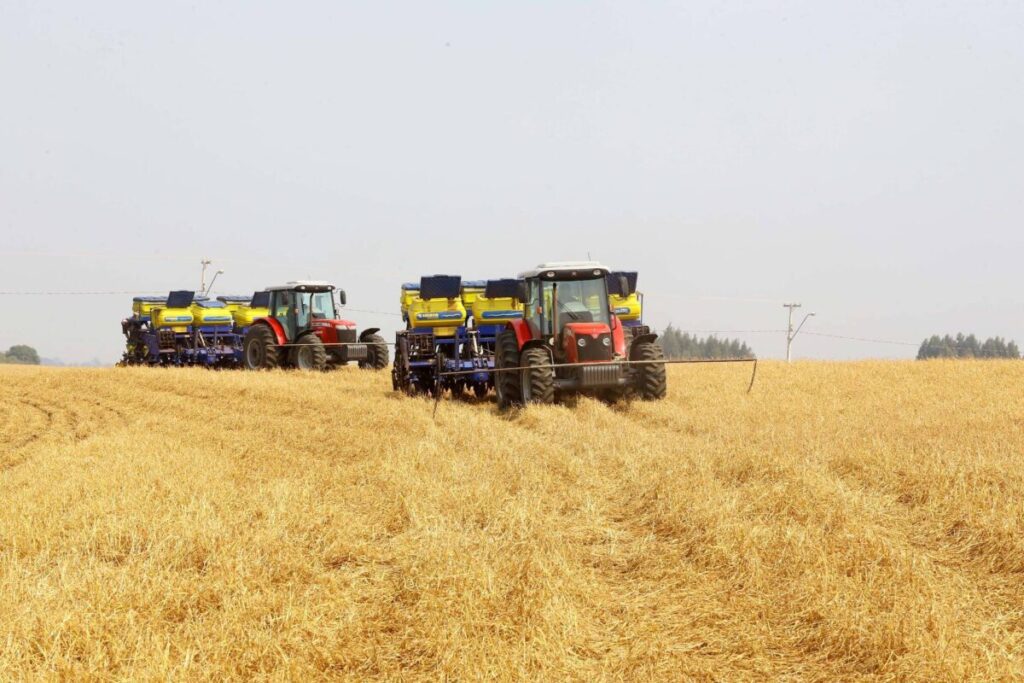 Paraná prorroga prazo para o plantio da soja