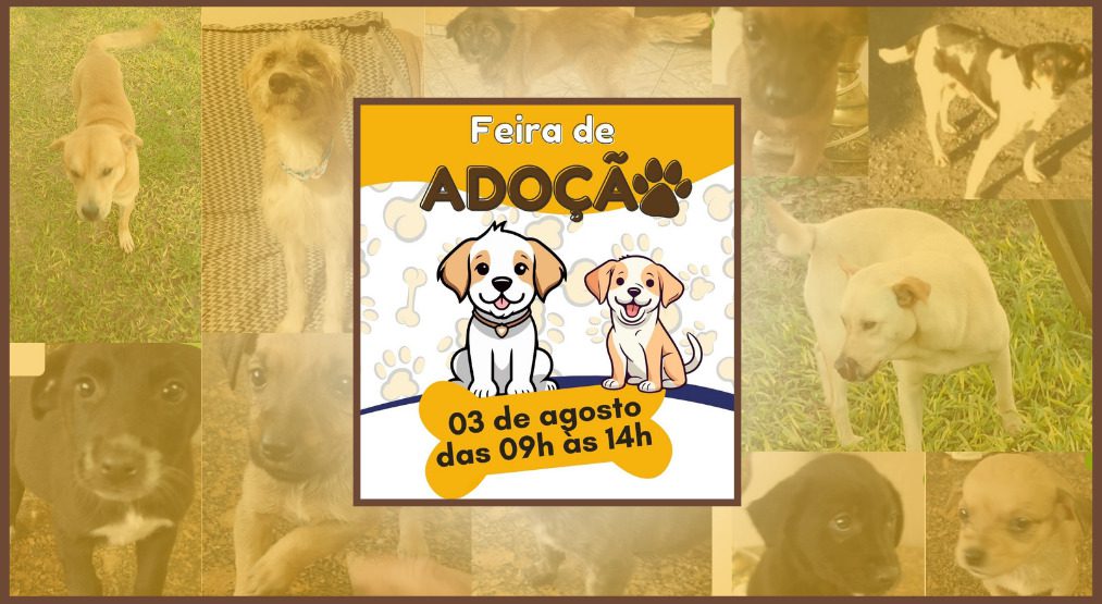 Final de semana terá feira de adoção de animais em São João do Triunfo