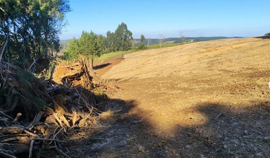 Em Antônio Olinto, Polícia Militar Ambiental autua proprietário por dano à vegetação nativa