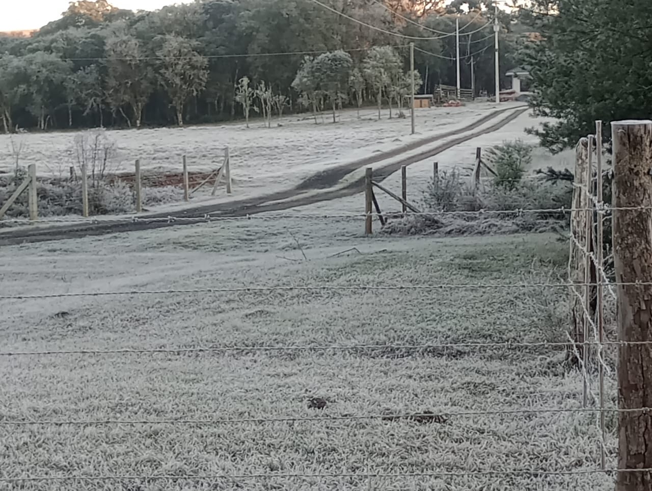 Alerta amarelo: Paraná entra em situação de ‘perigo’ devido a queda de temperatura