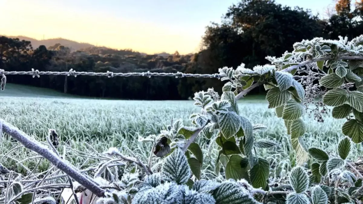 Inmet emite alertas de temporal e onda de frio para diversas regiões do Paraná