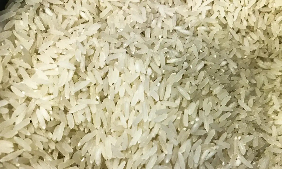 Produção de arroz do Brasil é suficiente para alimentar os brasileiros e ‘sobra’